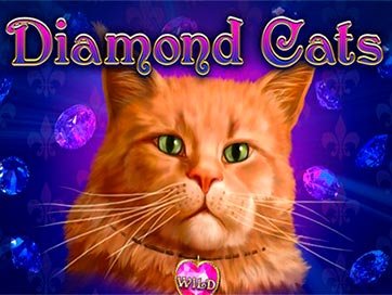 Diamond Cats